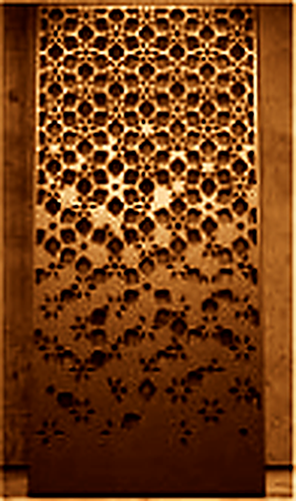 S102 madera