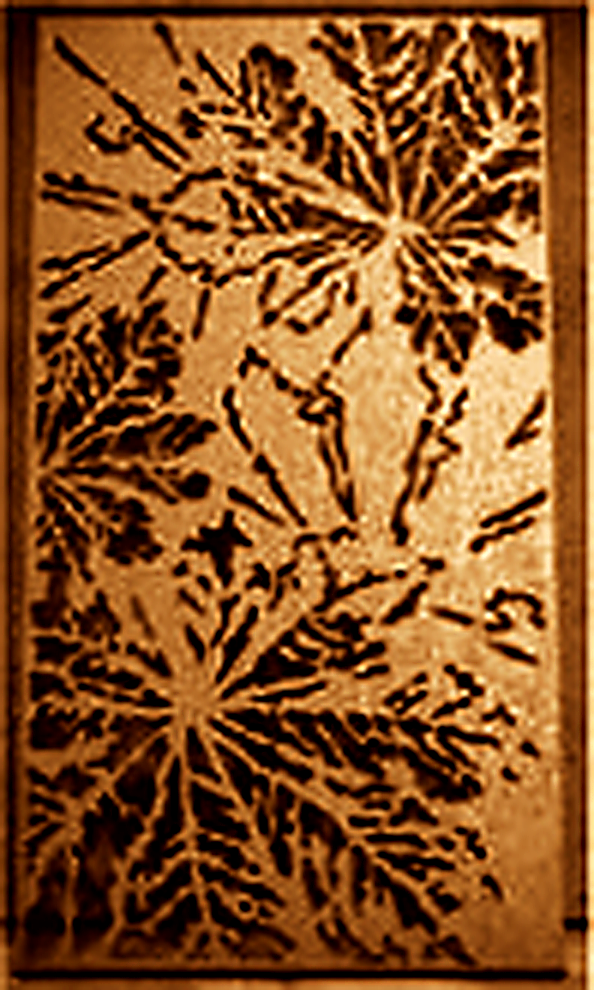S128 madera